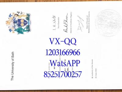 Diploma from the University of Bath