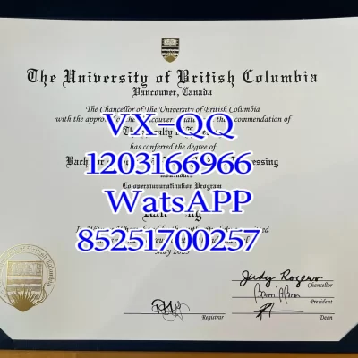University of British Columbia Diploma: Official Course Structure & Credibility