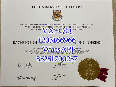 Diploma from the University of Calgary