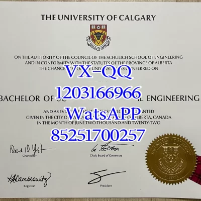 University of Calgary Diploma: A Complete Guide to Accreditation, Programs & Global Value