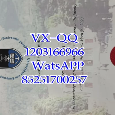 University of Cape Town Diploma: Complete Guide to China Recognition, Top Majors and Career Value