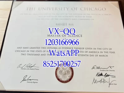 Diploma from the University of Chicago