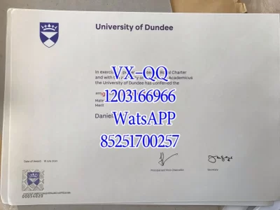 Diploma from the University of Dundee