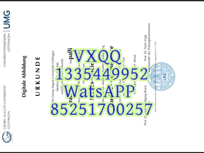 Diploma from the University of G ö ttingen