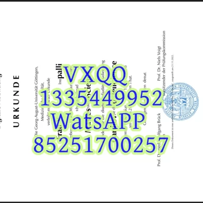 University of Göttingen Diploma: Your Complete Guide to Academic Qualifications at Georgia Augusta