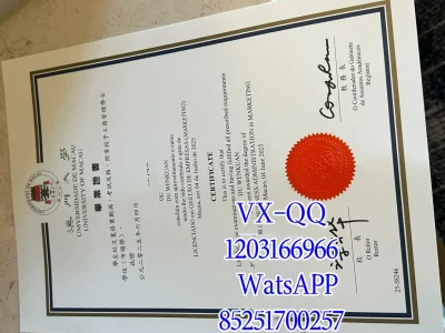 Diploma from the University of Macau