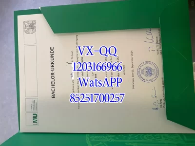Diploma from the University of Munich