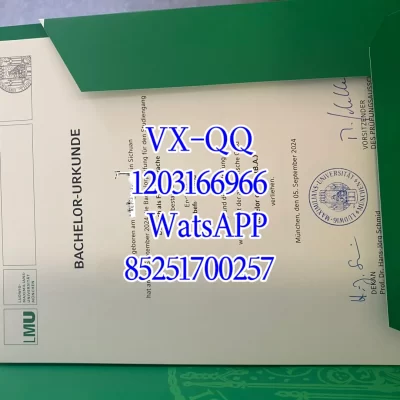 The Complete Guide to LMU Munich Diploma: International Recognition and Verification 2026