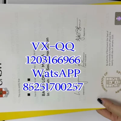 UNSW Diploma: Complete Guide for Students, Employers & Consultants