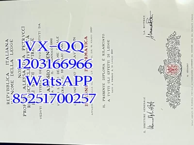 Diploma from the University of Venice