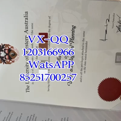 University of Western Australia Diploma: 2026 Simplified Guide to Value & Recognition