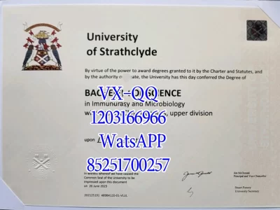 Strathclyde University Diploma