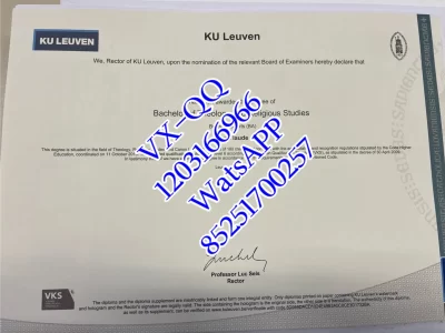 Diploma processing at the Dutch speaking University of Leuven