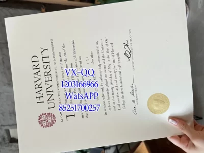 Harvard College Diploma