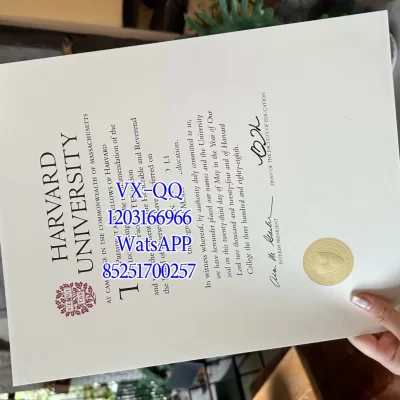 Harvard University Diploma: Everything You Need to Know in 2026