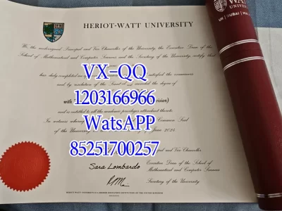 UK University