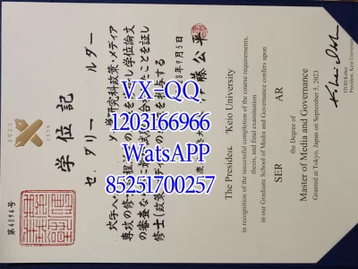 Keio University Diploma