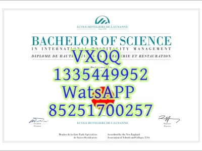 Diploma from Lausanne Hotel Management Institute