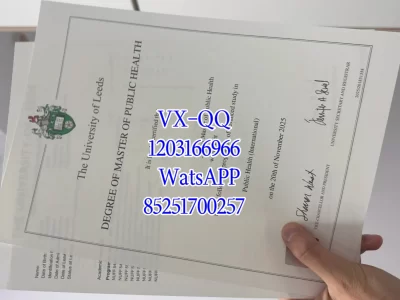 Leeds University Diploma