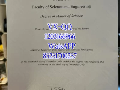 Liverpool University Diploma