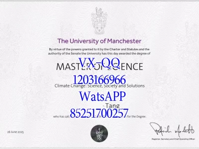 Manchester University Diploma