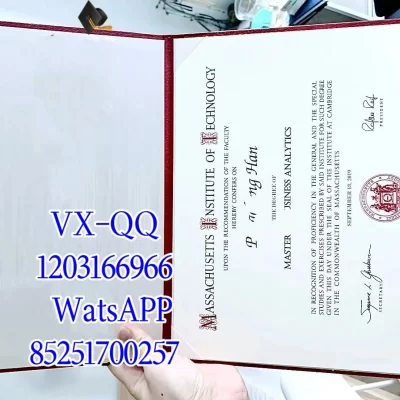 MIT Diploma: Value, Verification & Complete Guide 2026