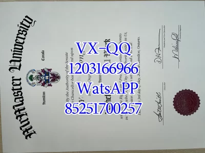 McMaster University Diploma
