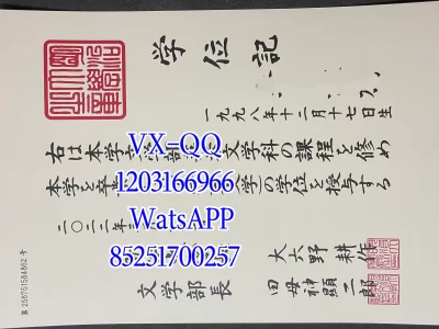 Meiji University Diploma