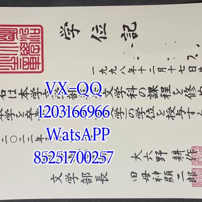 Meiji University Degree Certificate: Application, Design & Verification