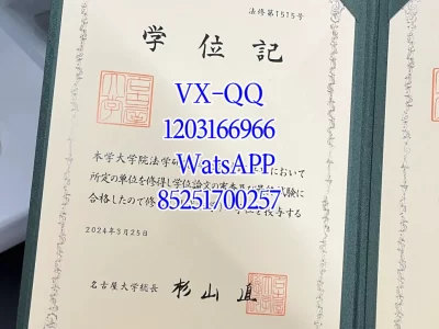 Nagoya University Graduation Certificate Diploma