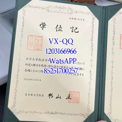 Nagoya University Diploma & Certificate: Recognition, Value 2026