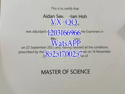 Oxford University Diploma