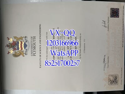 Plymouth University Diploma