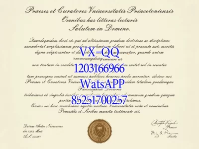 Princeton University Diploma