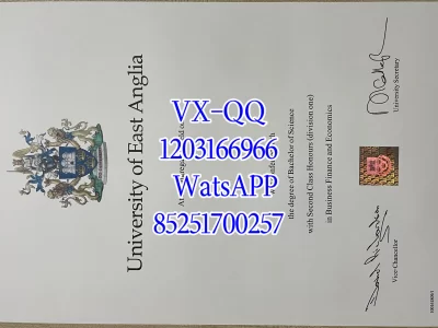 University of East Anglia Diploma