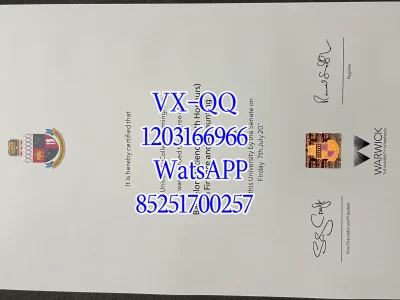 Warwick University Diploma