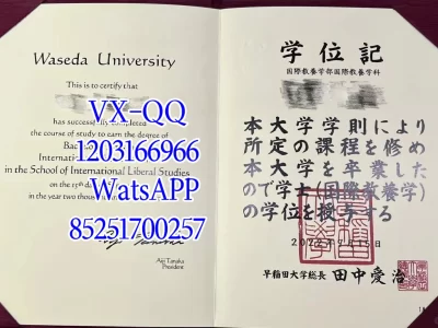 Waseda University Diploma