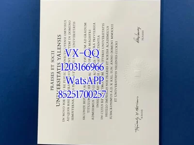 Yale University Diploma