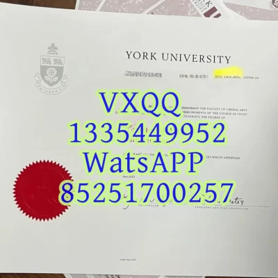 York University Diploma: Your Guide to Academic Excellence and Vibrant Campus Life