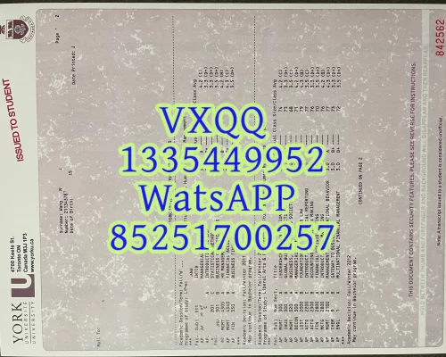 York University Transcript