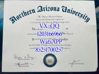 university diploma