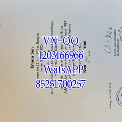 TU Munich Degree Certificate & Transcript | Hiring Verification Consulting
