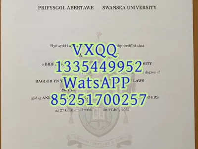 Swansea University Diploma