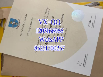 谢菲尔德大学毕业证