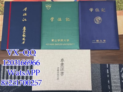 Qingshan College University Diploma