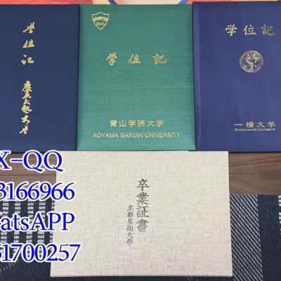 Aoyama Gakuin University Degree Certificate: Design, Application & International Verification