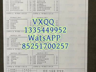 Korean University Diploma