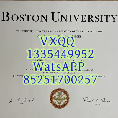 Boston University Diploma