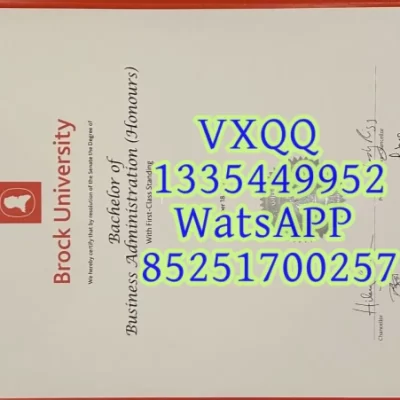 Brock University Diploma: Unlocking Value, Accreditation, and Career Success in 2026