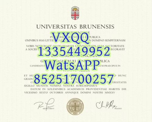 Brown University Diploma